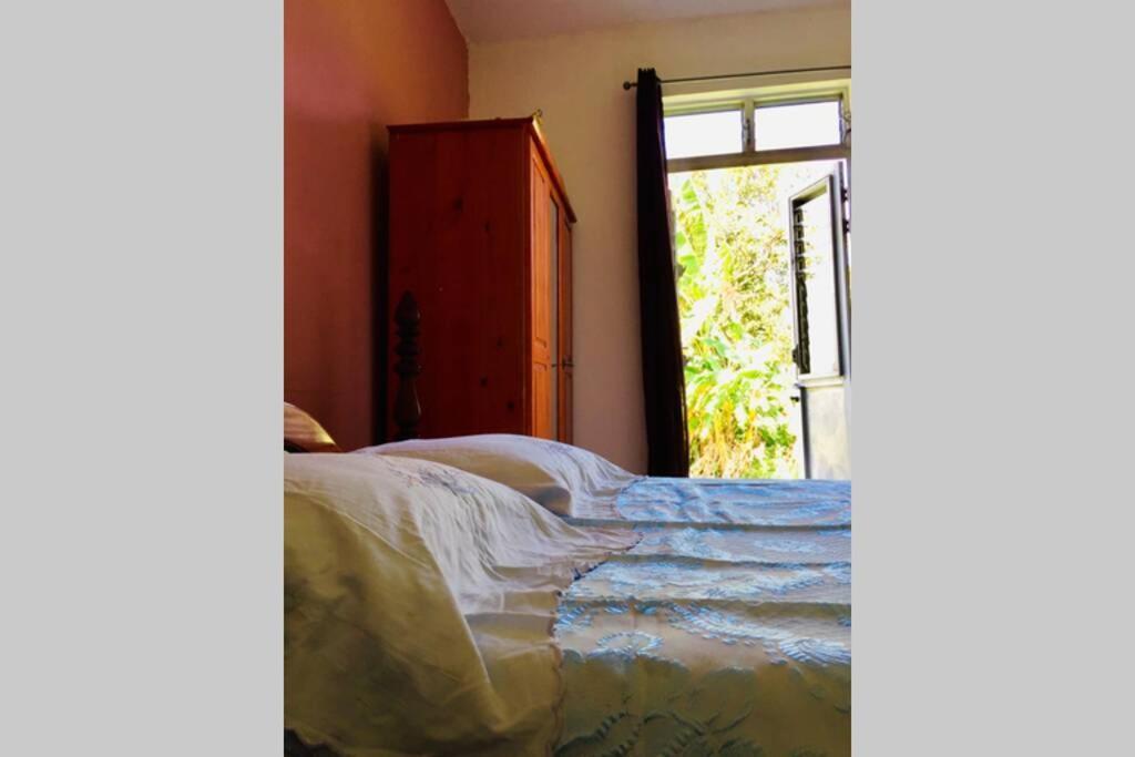 Logement En Pleine Verdure Tropicale -10 Min Plage Le Morne-Rouge Exterior foto